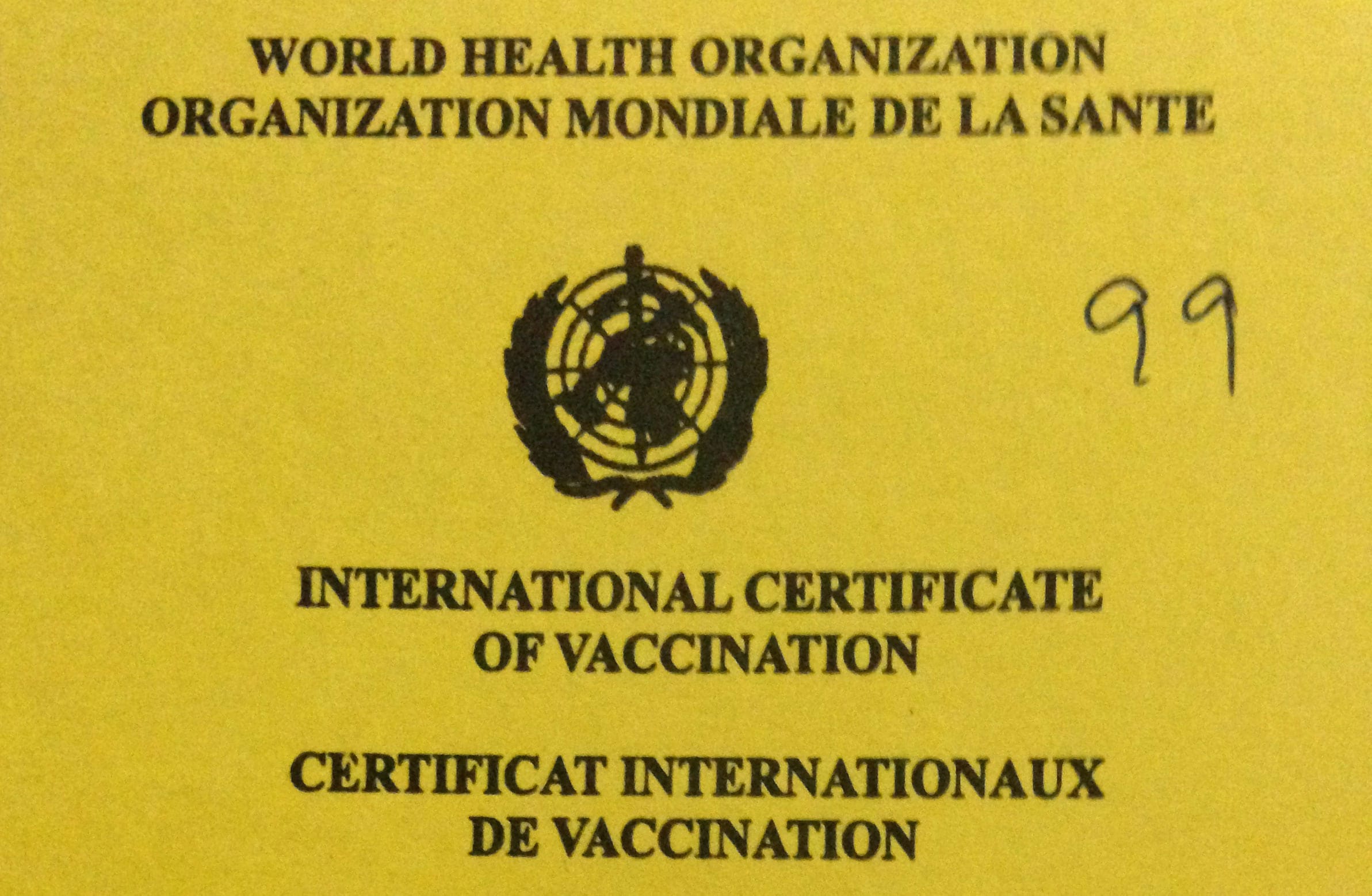 Yellow Fever Vaccination Requirements From India Chalo Africa