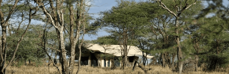 Lemala Ewanjan Camp, Serengeti.