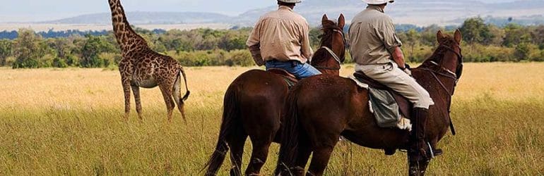 Laikipia horse riding safaris