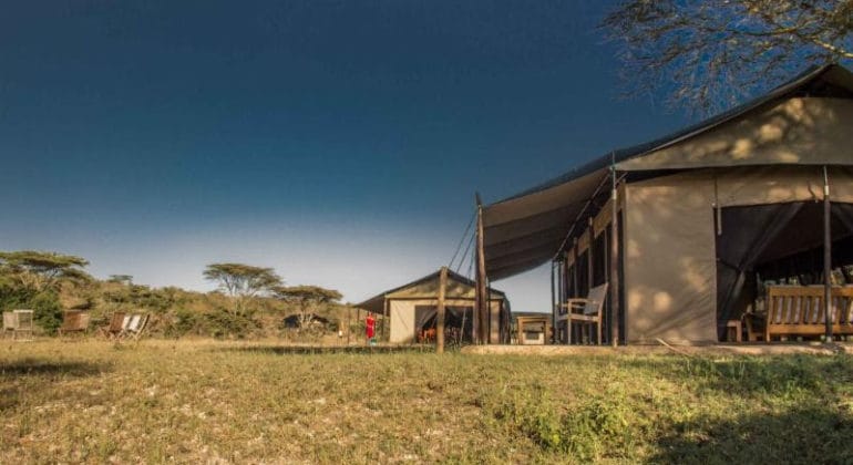 Porini Cheetah Camp