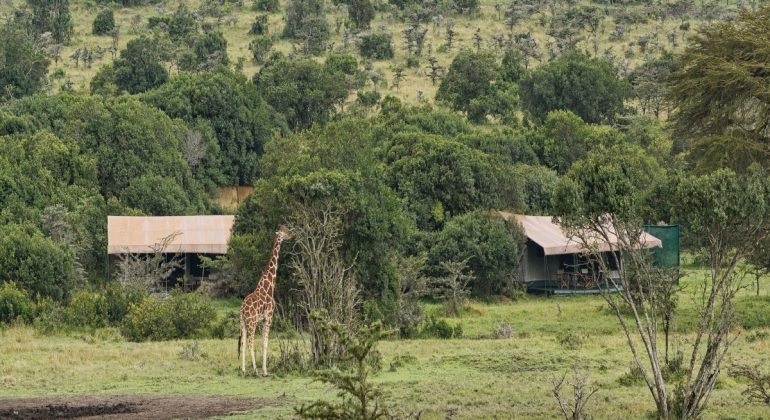 Porini Rhino Camp View