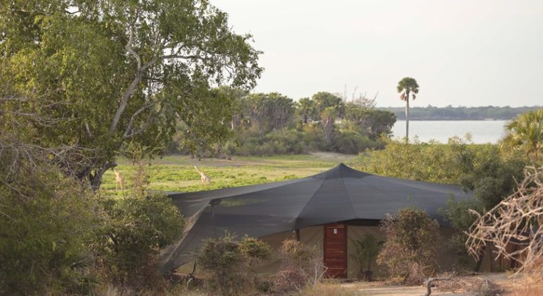 Roho Ya Selous Tent View