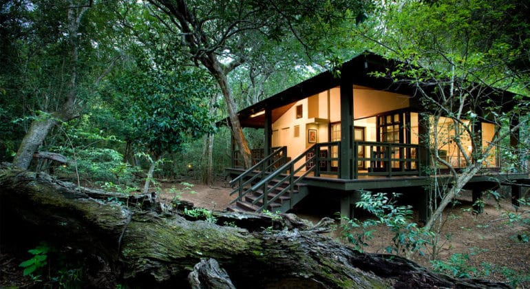 Phinda Forest Lodge Room