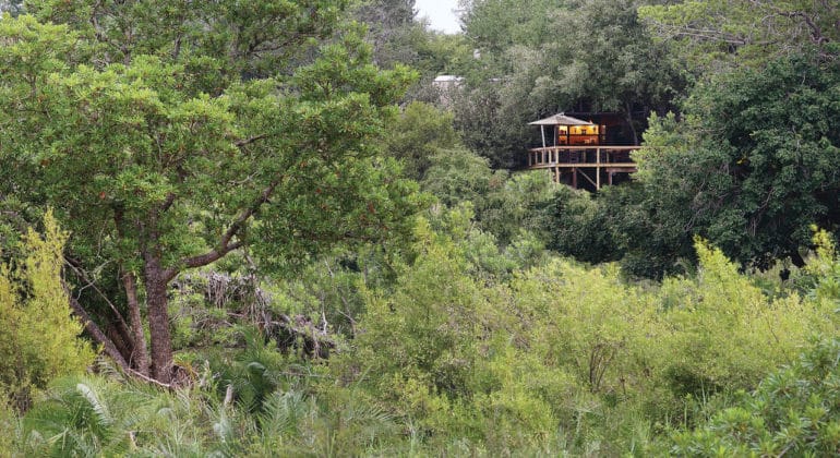 Londolozi Tree Camp View