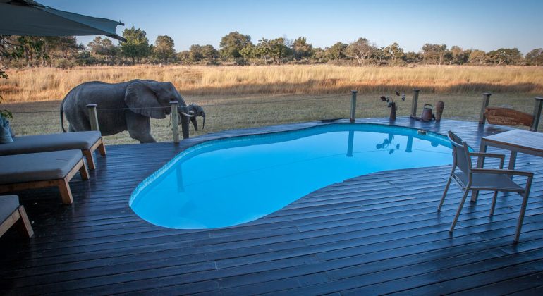 Chitabe Lediba Camp Pool