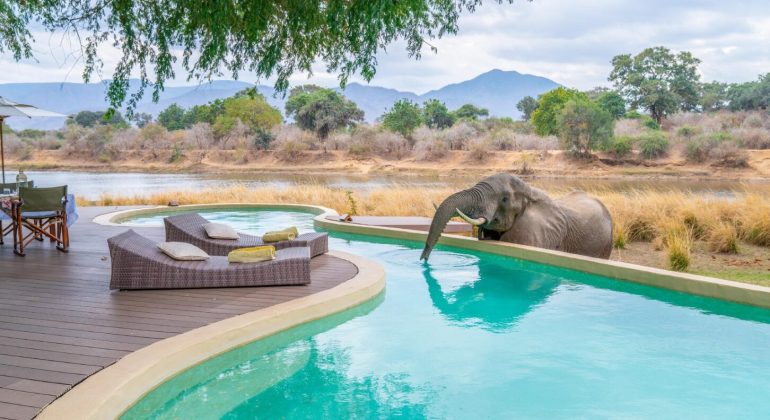 Time + Tide Chongwe House Elephants By The Camp