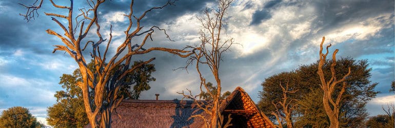 Bomani Tented Lodge View