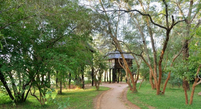 Ivory Lodge Walkway