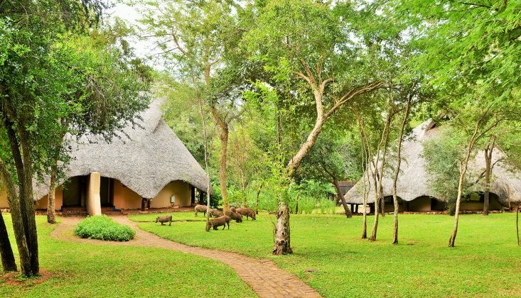 Lokuthula Lodges Gardens