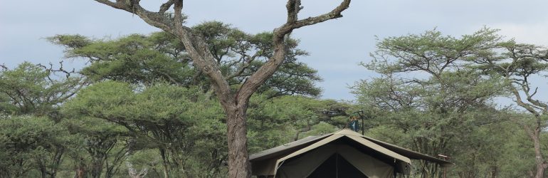 Ndutu Wilderness Tent Distance