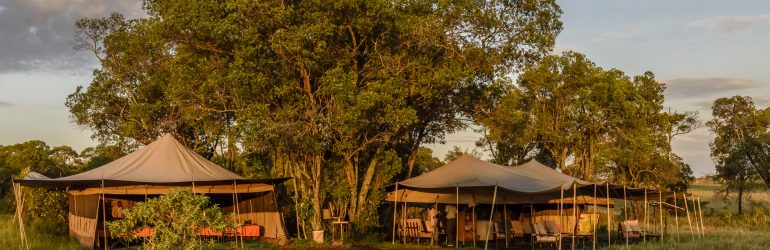 Serengeti National Park. Tanzania