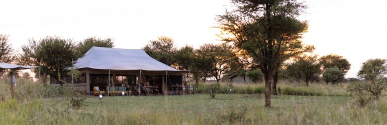 Serengeti Wilderness Camp Tent View