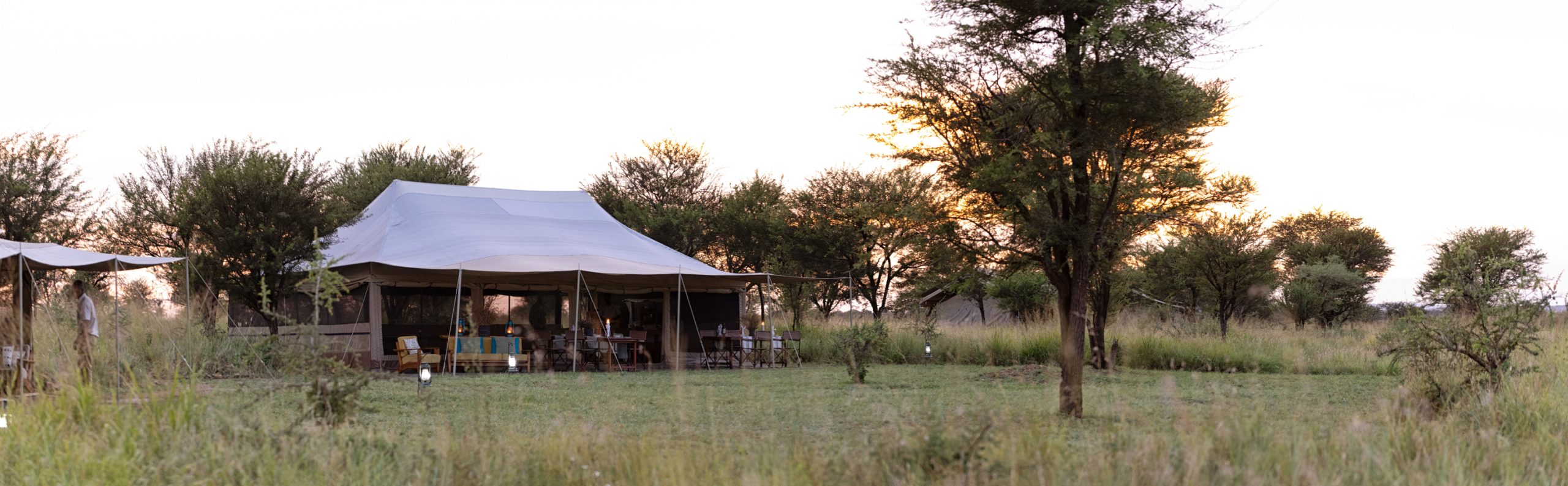 Serengeti Wilderness Camp Tent View