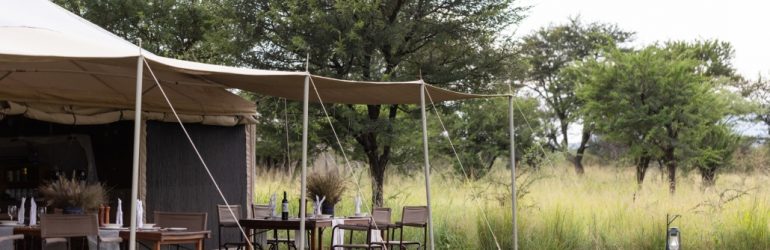 Serengeti Wilderness Camp View