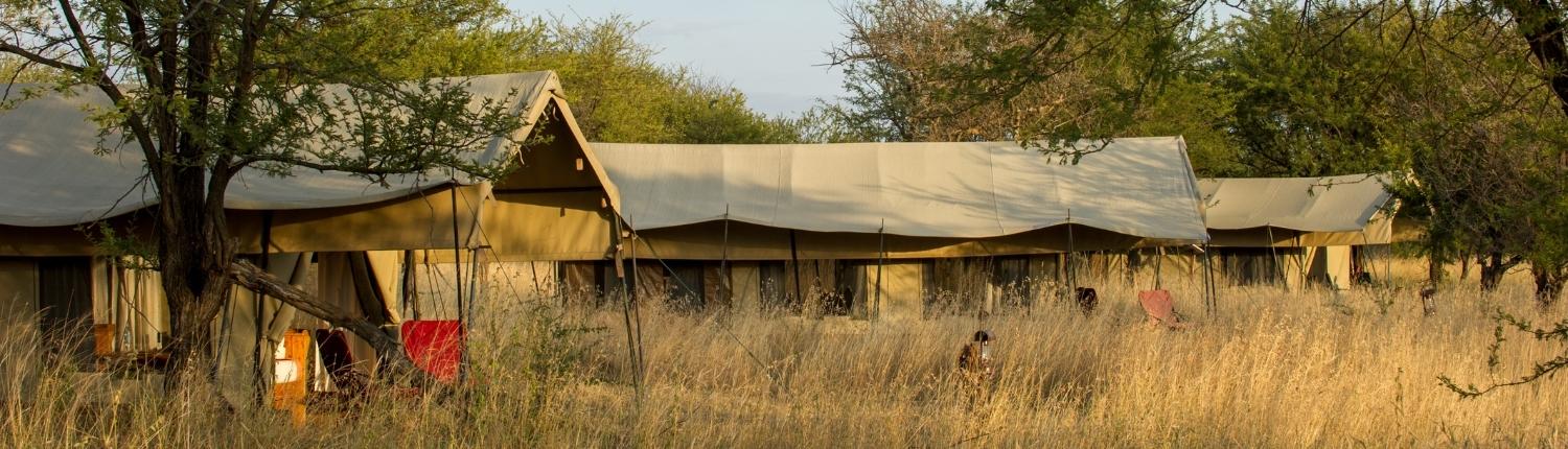 Mobile Camp Wilderness Usawa Opens in the Serengeti