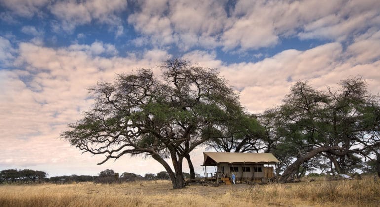 Somalisa Expeditions Tent View