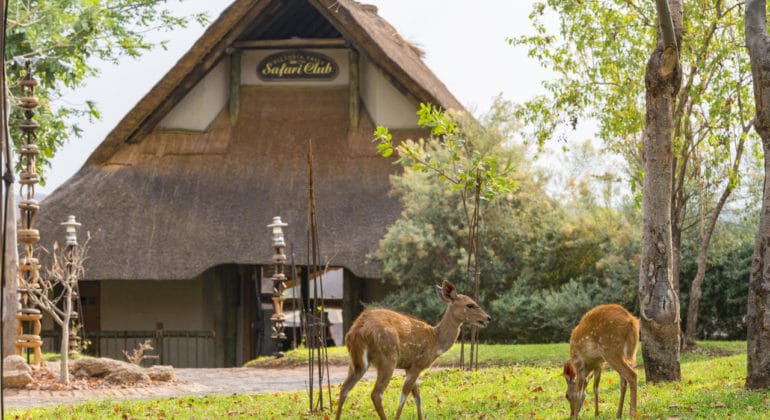 Victoria Falls Safari Club Front View