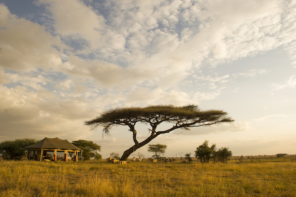 Namiri Plains