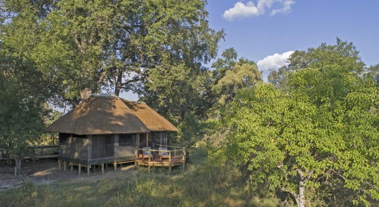 Camp Moremi Room View