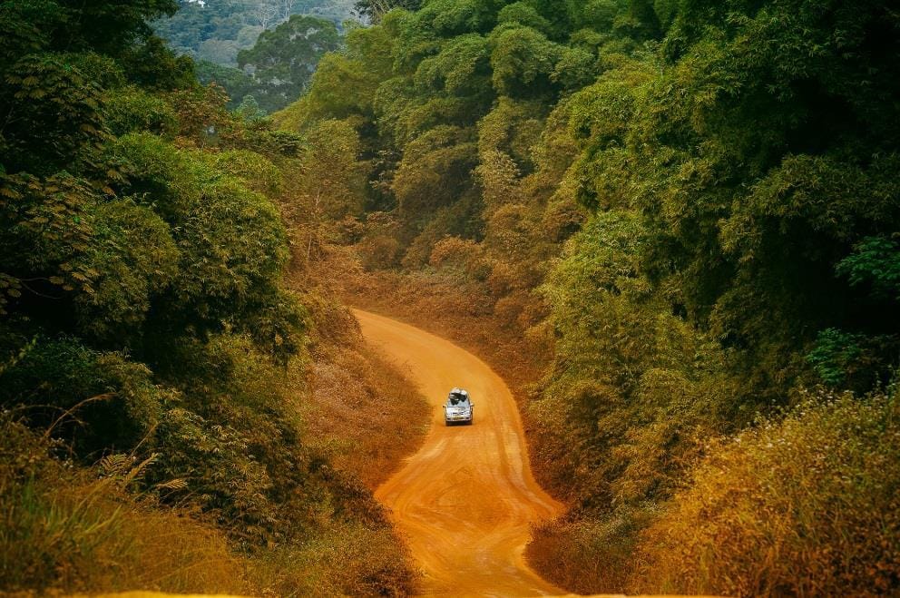 gabon africa national park        
        <figure class=