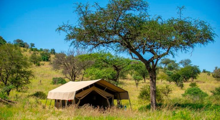 Kati Kati Tented Camp Tent View