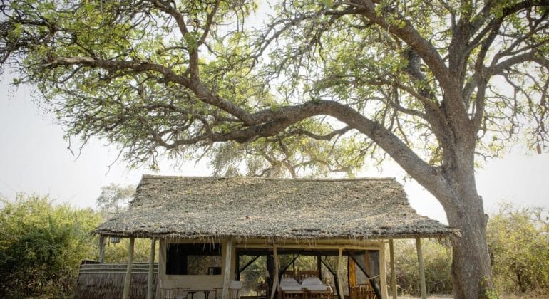 Kigelia Ruaha Tent