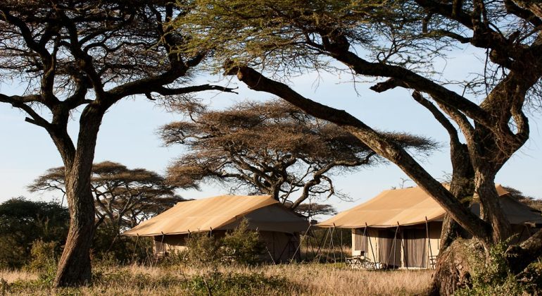 Ndutu Under Canvas Tents