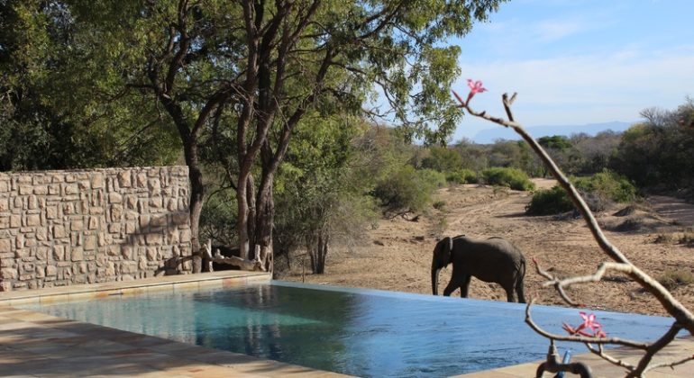 Shumbalala Game Lodge Private Pool