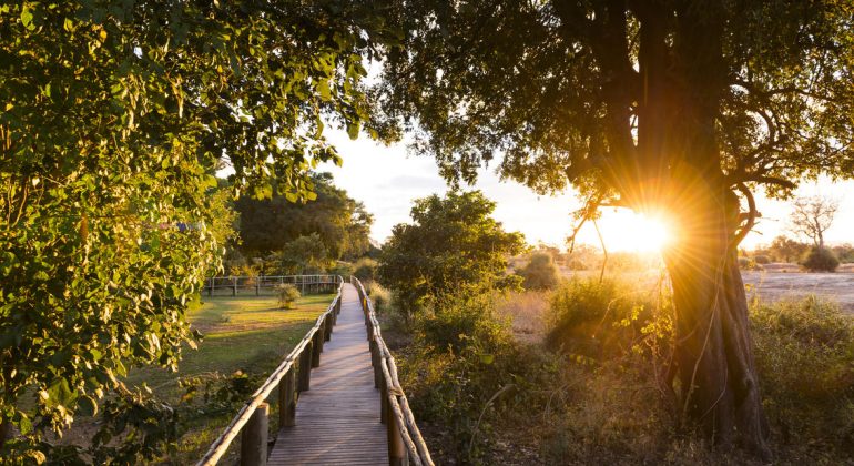 Amanzi Camp Walkway