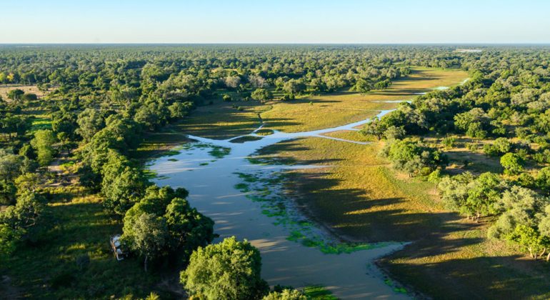 Chikoko Tree Camp Aerial View