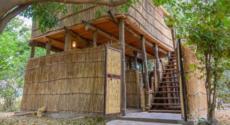 Chikoko Tree Camp Chalet Entrance