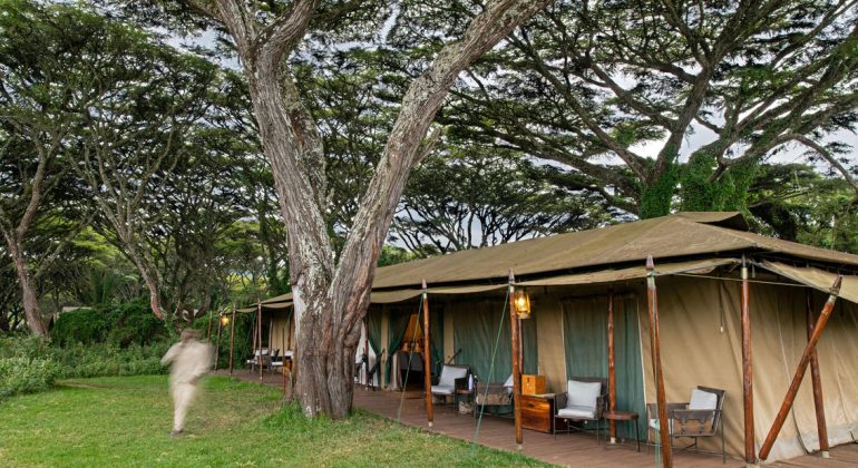 Lemala Ngorongoro Main Area