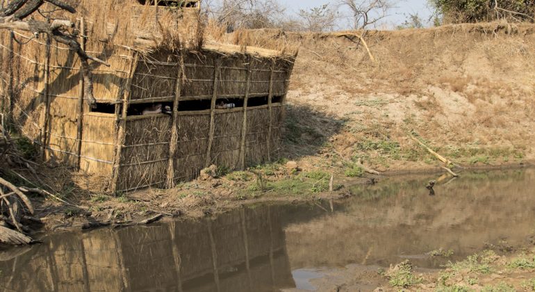 Mwamba Camp Hides