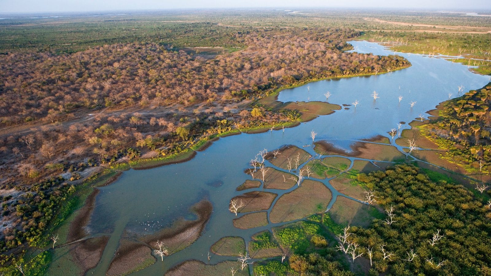 Okavango Delta 2023 / 2024 Chalo Africa