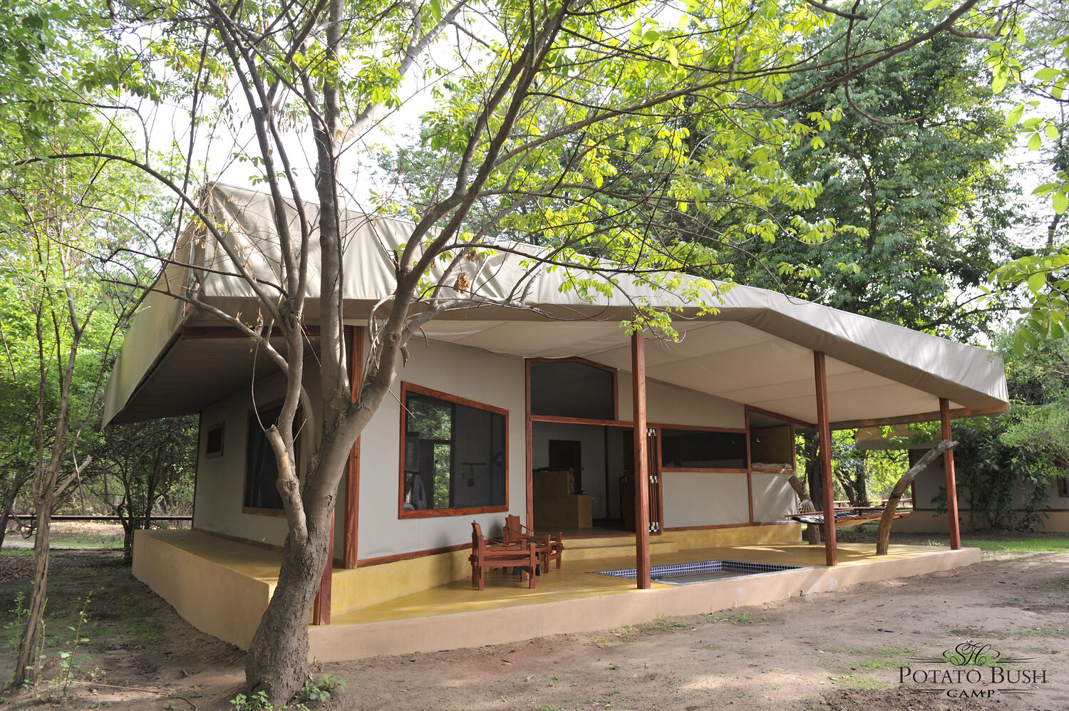 Potato Bush Camp Tent