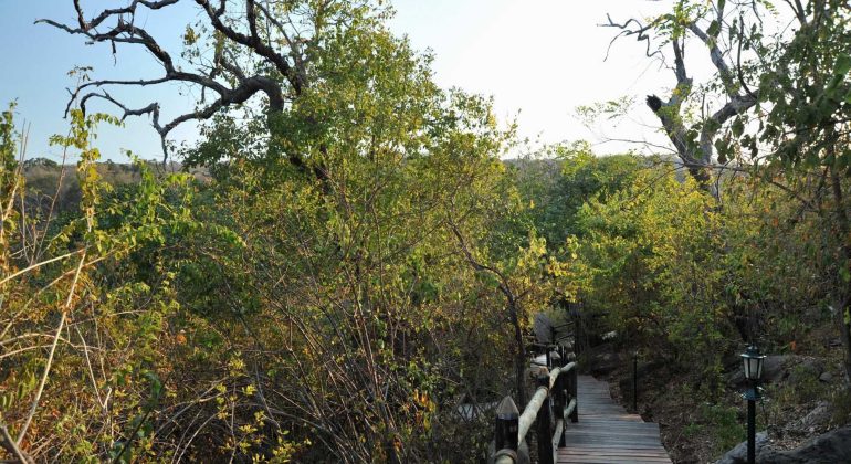 Serena Mivumo River Lodge Walkway