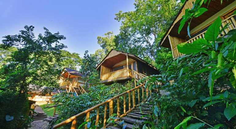 Buhoma Lodge Rooms