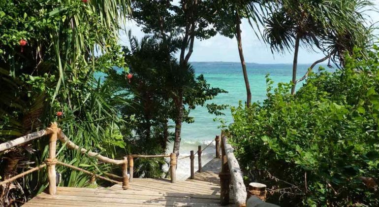 Fundu Lagoon Walkway