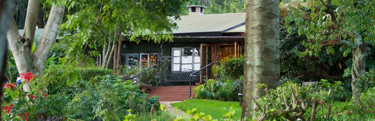 Gibbs Farm Cottage View