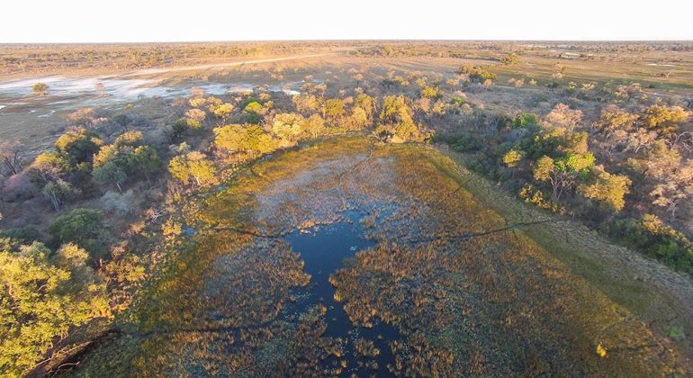 Pom Pom Camp Aerial View