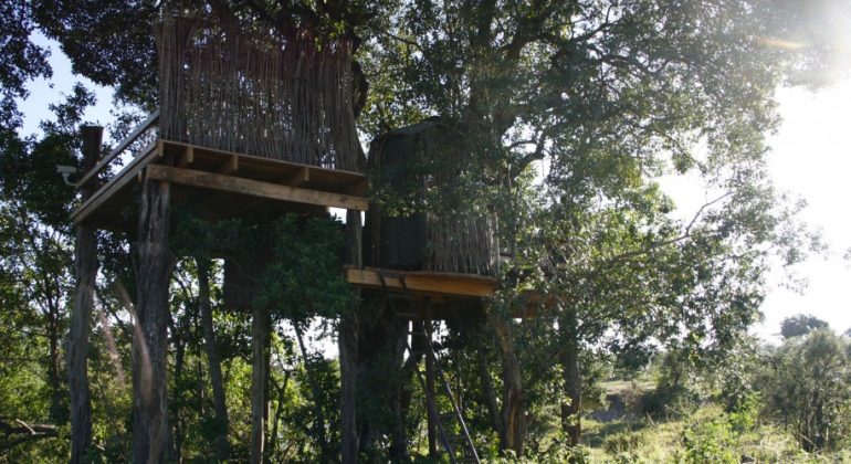 The Nest Tree House