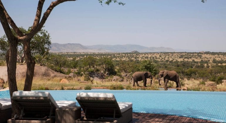 Four Seasons Serengeti Pool