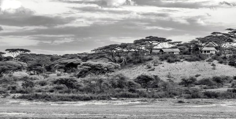 Intimate Camp Panoramic View