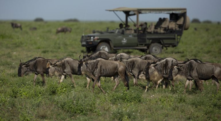 Siringit Serengeti Camp Activities