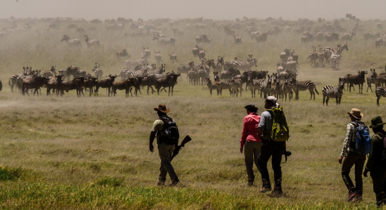 Wayo Serengeti Walking Camp Wildlife