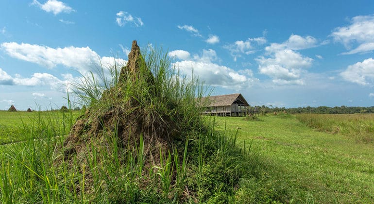 Mboko Camp View