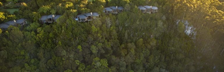 Tsala Treetop Lodge Aerial View