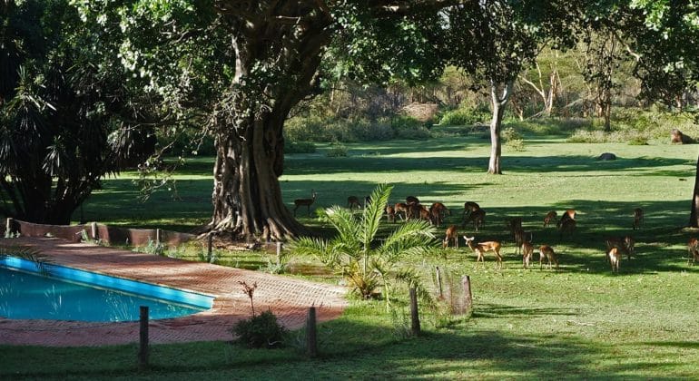 Olerai House Swimming Pool