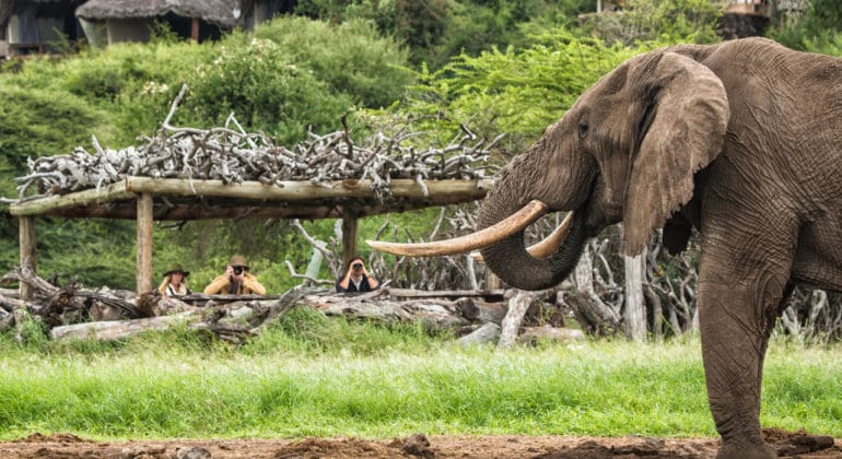 Ol Donyo Lodge Hide