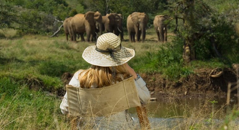 Sosian Lodge Elephants At Breakfast